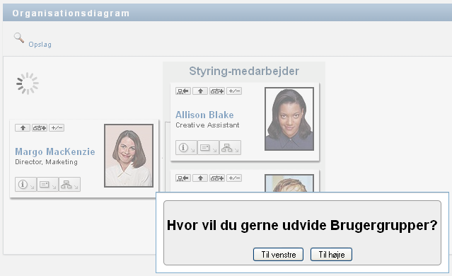 skærmbillede
