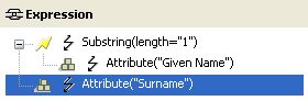 Surname attribute