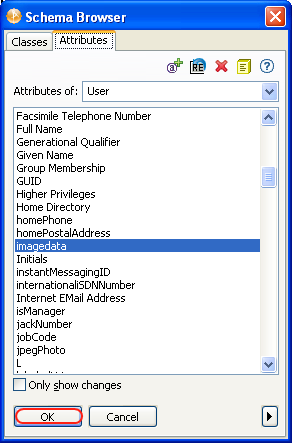 Launching the Hex editor by selecting the attribute