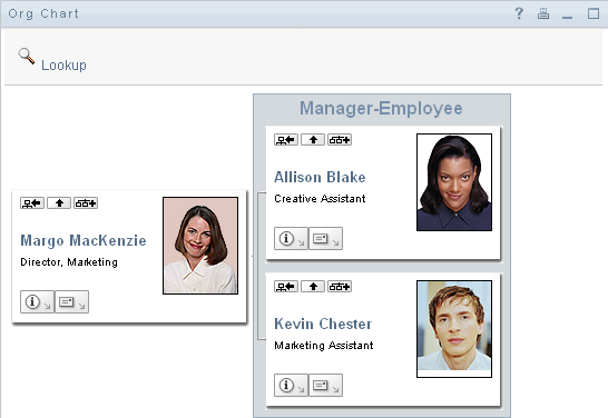The portlet on the Organization Chart page