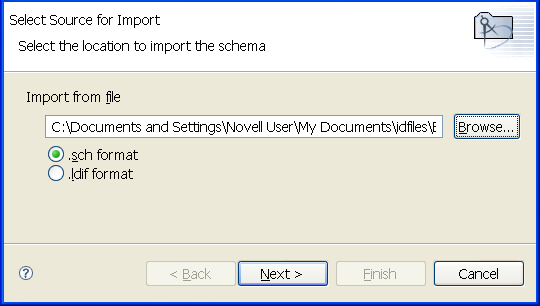 Options to import the schema from a file