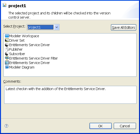 Checking in a project to the version control server