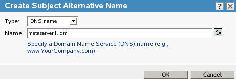 Creating an alternative name of DNS