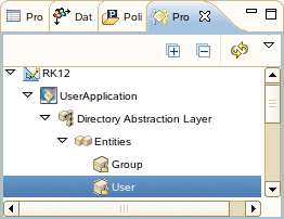 User Entity in the Provisioning view