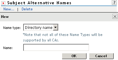 Subject alternative names