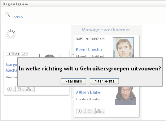 schermafbeelding